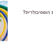 המערכת הוסטיבולרית