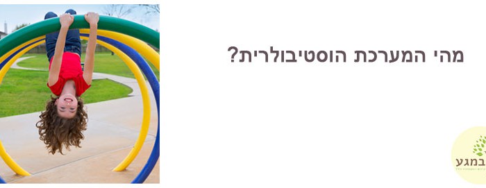 המערכת הוסטיבולרית
